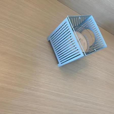 阿拉巴马州酒店 里乔内